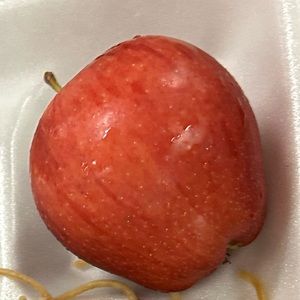 Meet your Posher, Lyra